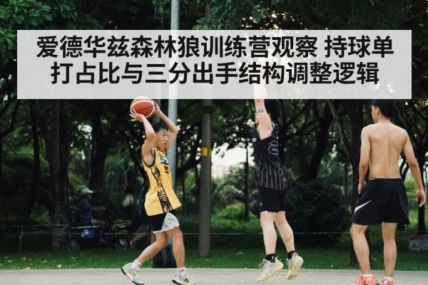 爱德华兹森林狼训练营观察 持球单打占比与三分出手结构调整逻辑