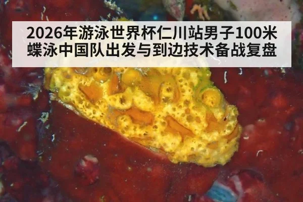 2026年游泳世界杯仁川站男子100米蝶泳中国队出发与到边技术备战复盘